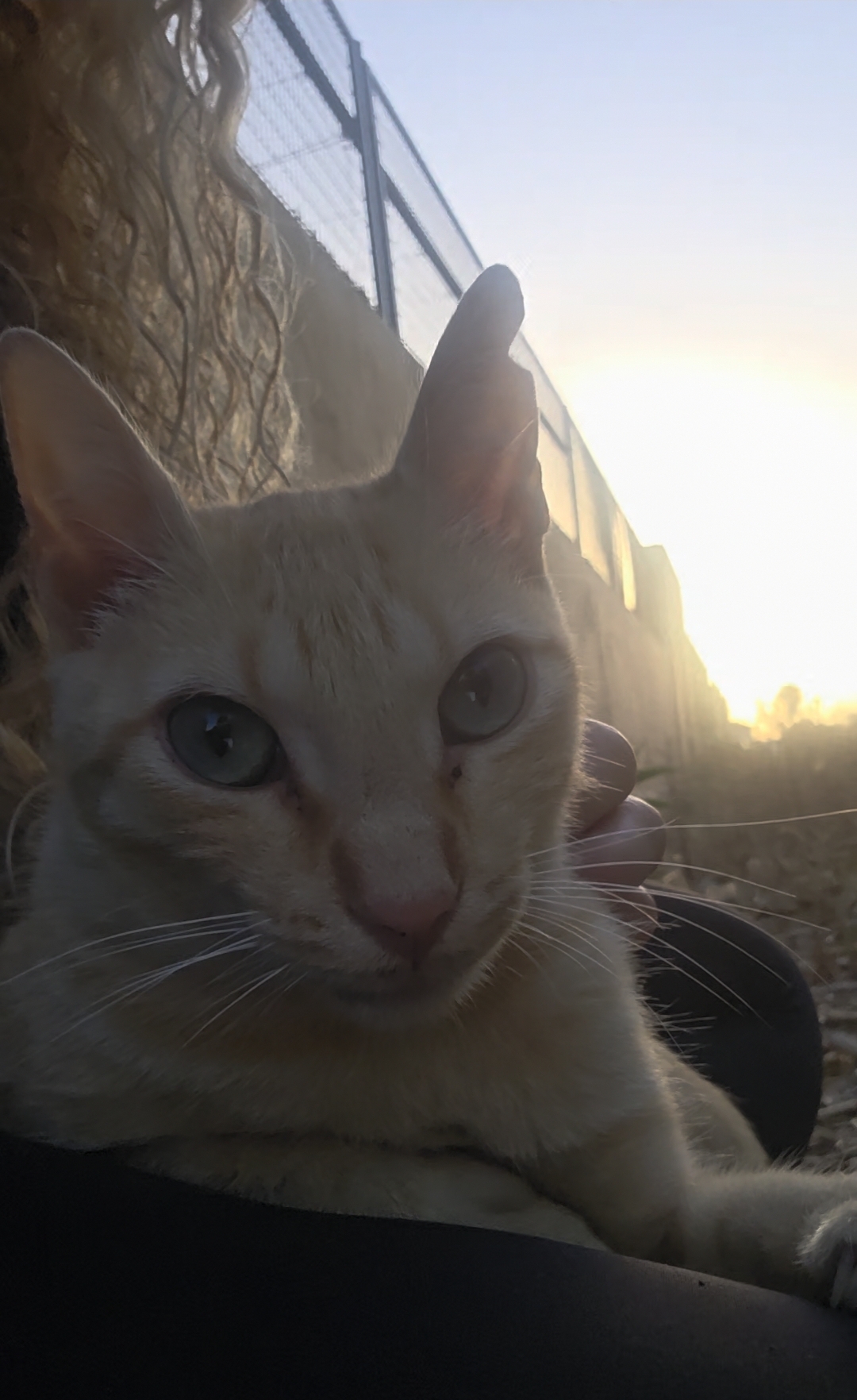 Screenshot_20260828_001137_Gallery